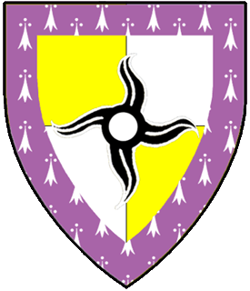 Quarterly Or and argent, an estoile of four rays nowy sable charged with a plate, a bordure purpure ermined argent.