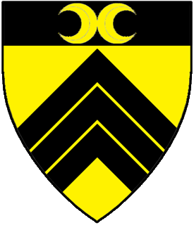 Device or arms for Anne Johnston