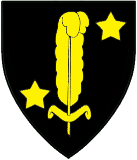 Device or arms for Ieuan Gower
