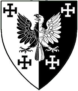 Device or arms for Martin von Munchen