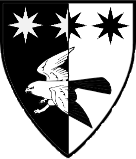 Per pale sable and argent, a bird volant and in chief three mullets of eight points counterchanged