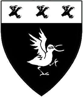 Device or arms for Ronan Barrett
