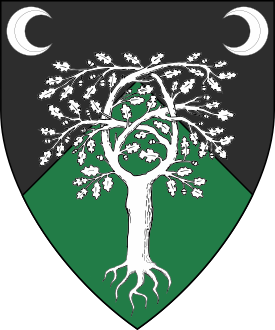Device or Arms of Skóga-Valdi Yngvarsson