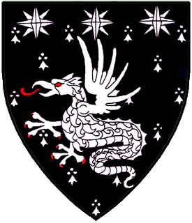 Counter-ermine, a wyvern and in chief three mullets of eight points argent.