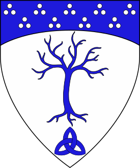 Argent, a tree blasted and eradicated and in base a triquetra azure, a chief enarched azure estencely argent.