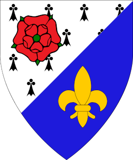 Per bend sinister ermine and azure, a rose gules and a fleur-de-lys Or.