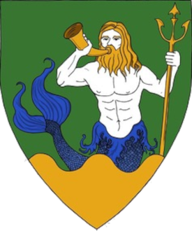 Vert, a merman proper crined Or tailed azure maintaining a horn in his dexter hand and a trident in his sinister hand all issuant from a base wavy Or.