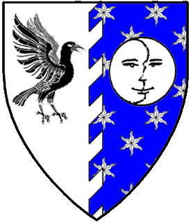 Per pale raguly argent and azure semy of estoiles argent, a raven rising to sinister wings addorsed sable and a moon in her complement argent.