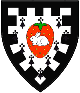 Device or arms for Fionnghuala Friseil