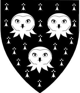 Device or arms for Genvieve Choue