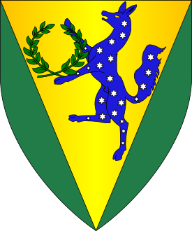 Device or Arms of Glyn Dwfn, Barony of