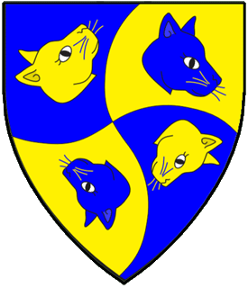 Device or arms for Gøtstaf raumr