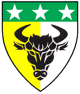 Per pale Or and argent, a bull's head caboshed sable, on a chief vert three mullets argent.