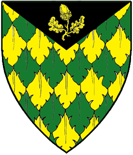 Device or arms for Gwyneth Gower