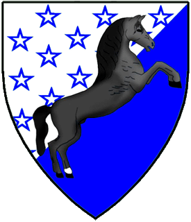 Device or arms for Jill Blackhorse