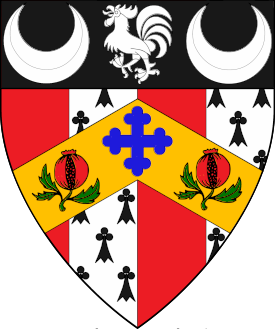 Device or arms for Lilion Jane Godwin