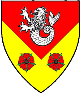 Device or arms for Luciana Fleuriet