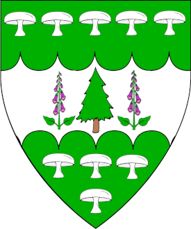 Device or Arms of Muirenn inghean Uí Cléirigh