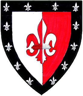 Device or arms for Reme the Burgundian