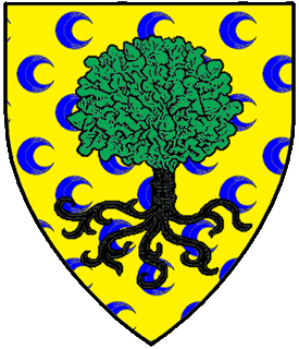Device or arms for Rhiannon Boyle