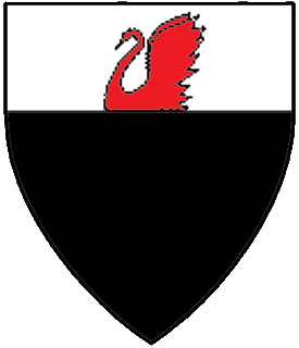 Device or arms for Rhonwen of Rhyl