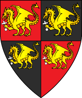 Device or arms for Richard Dragun