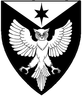 Sable, an owl displayed, on a chief triangular argent a mullet of six points elongated to chief and to base sable.