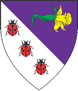 Device or arms for Anna MacKenna