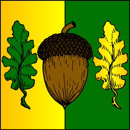 Populace Badge for Barony of Wealdsmere